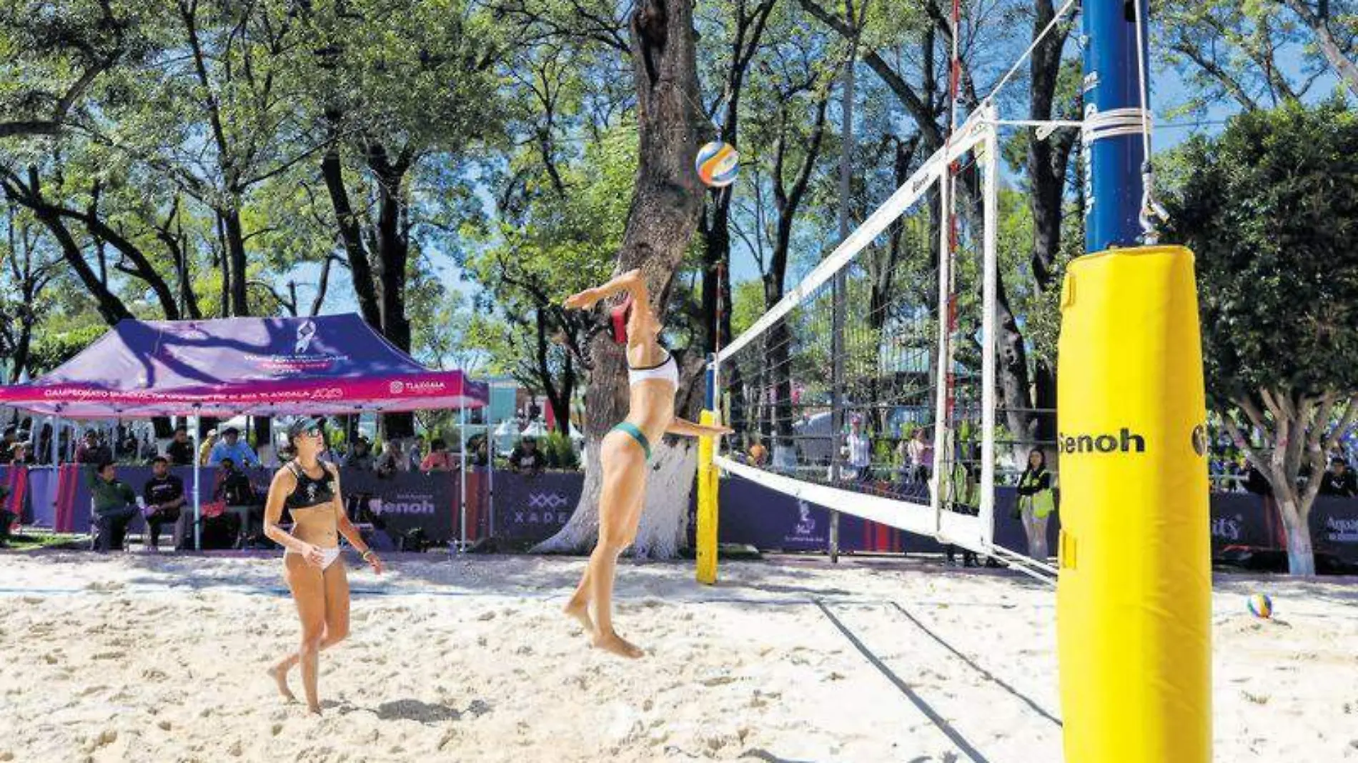 Mexicanas Voleibol de playa (3)